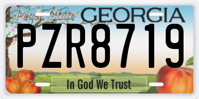 GA license plate PZR8719