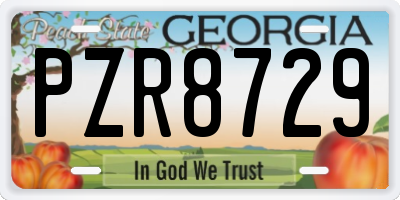 GA license plate PZR8729