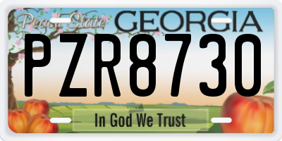 GA license plate PZR8730