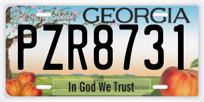 GA license plate PZR8731
