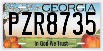 GA license plate PZR8735