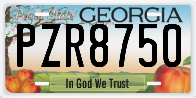 GA license plate PZR8750