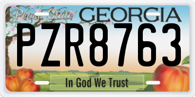 GA license plate PZR8763