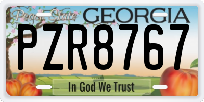 GA license plate PZR8767
