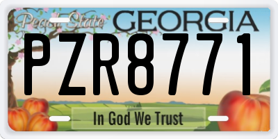 GA license plate PZR8771