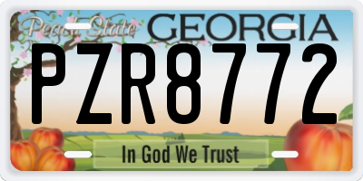 GA license plate PZR8772