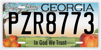 GA license plate PZR8773