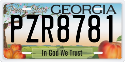 GA license plate PZR8781