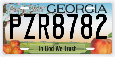 GA license plate PZR8782