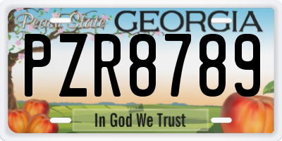 GA license plate PZR8789