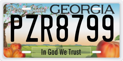 GA license plate PZR8799