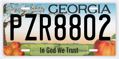 GA license plate PZR8802