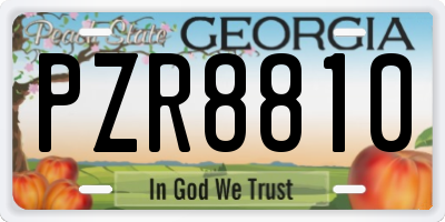 GA license plate PZR8810