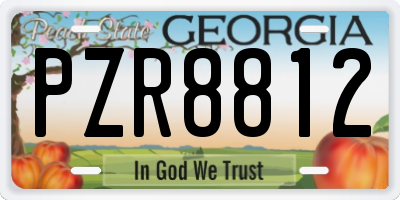 GA license plate PZR8812
