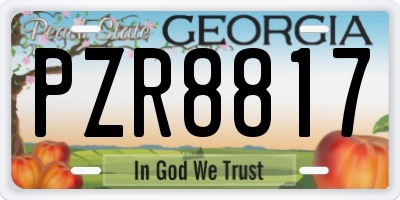 GA license plate PZR8817