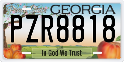 GA license plate PZR8818