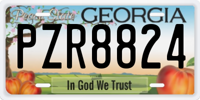 GA license plate PZR8824