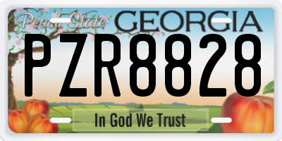GA license plate PZR8828