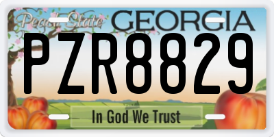 GA license plate PZR8829