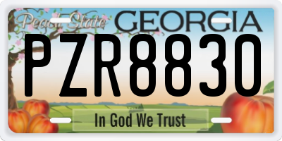 GA license plate PZR8830