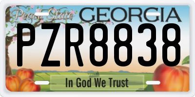 GA license plate PZR8838
