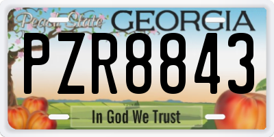 GA license plate PZR8843