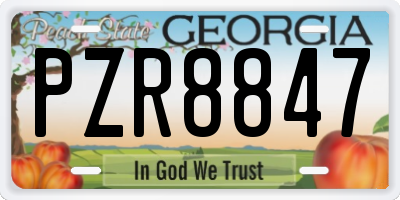 GA license plate PZR8847