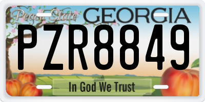 GA license plate PZR8849