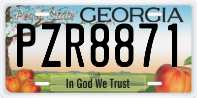 GA license plate PZR8871