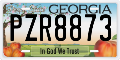 GA license plate PZR8873