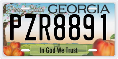 GA license plate PZR8891