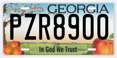 GA license plate PZR8900