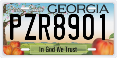 GA license plate PZR8901