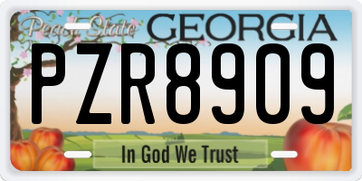 GA license plate PZR8909