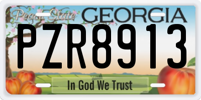 GA license plate PZR8913