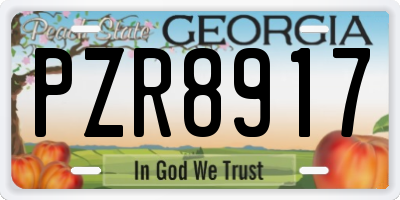 GA license plate PZR8917