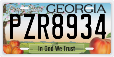 GA license plate PZR8934