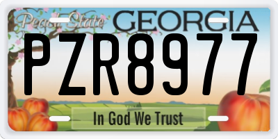 GA license plate PZR8977