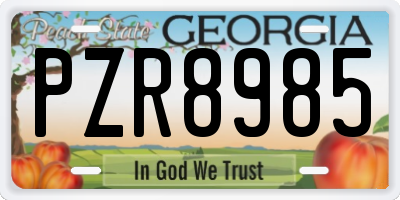 GA license plate PZR8985