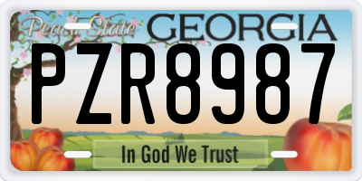 GA license plate PZR8987