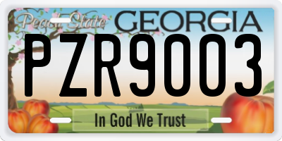 GA license plate PZR9003