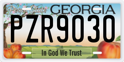 GA license plate PZR9030