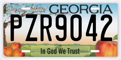 GA license plate PZR9042