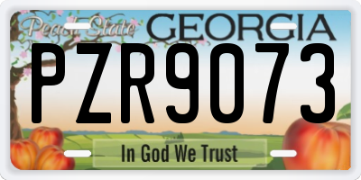 GA license plate PZR9073