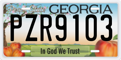 GA license plate PZR9103