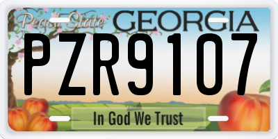 GA license plate PZR9107