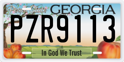 GA license plate PZR9113