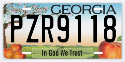 GA license plate PZR9118