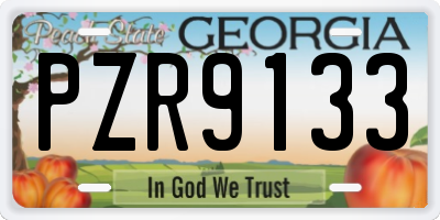 GA license plate PZR9133