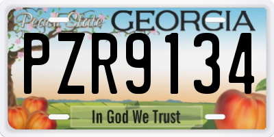 GA license plate PZR9134